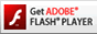 Get Adobe Flash Player